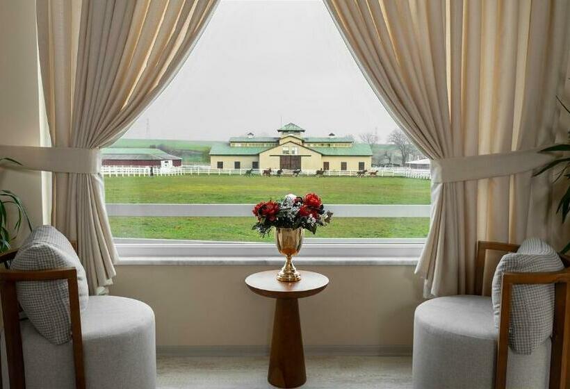 تختخواب و صبحانه Olimpos Butik Otel çorlu