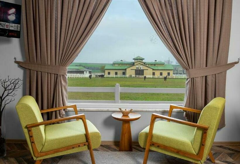 تختخواب و صبحانه Olimpos Butik Otel çorlu