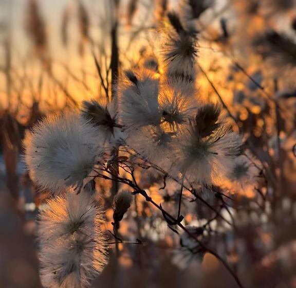 Bed and Breakfast Mediterranean Lake Escape House