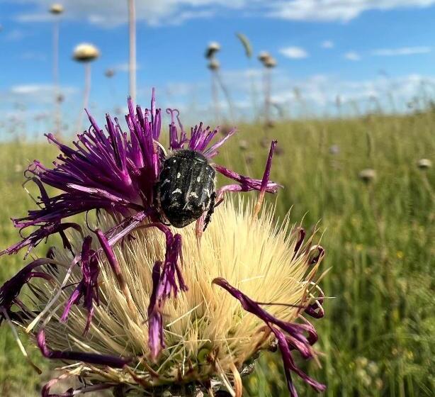 Bed and Breakfast Mediterranean Lake Escape House