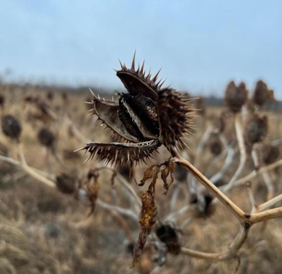 Bed and Breakfast Mediterranean Lake Escape House