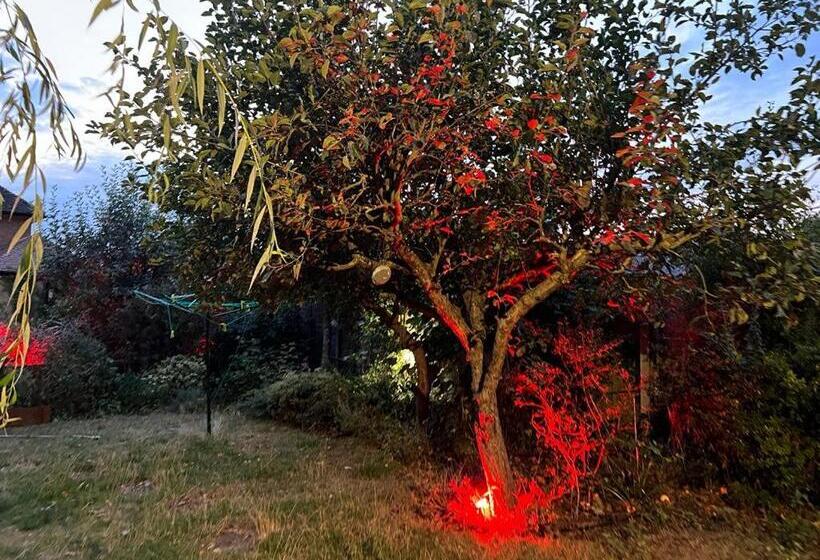 צימר The Elegance