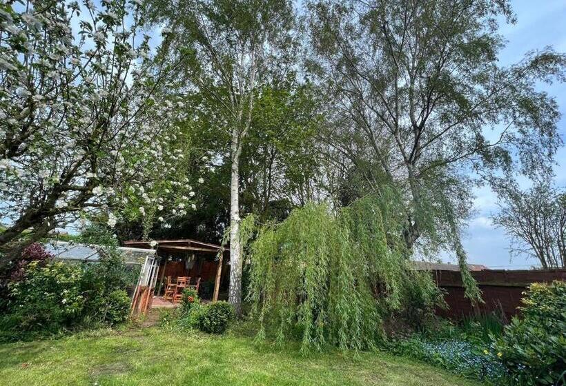 צימר The Elegance