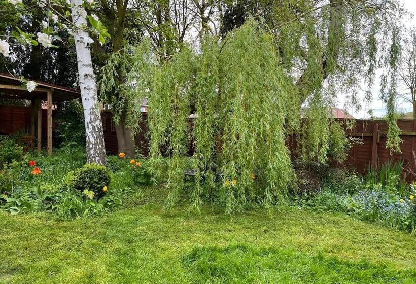 צימר The Elegance