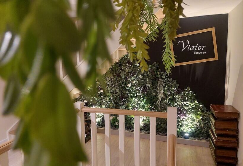 住宿加早餐 Viator