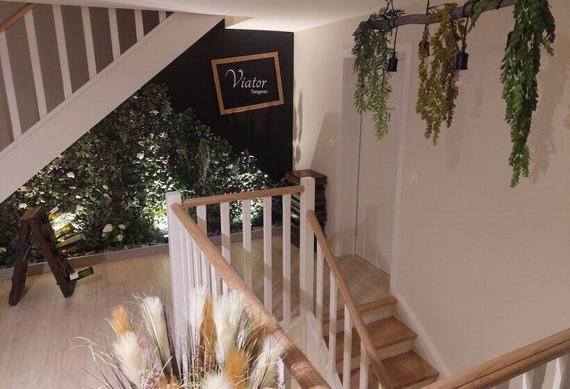 住宿加早餐 Viator