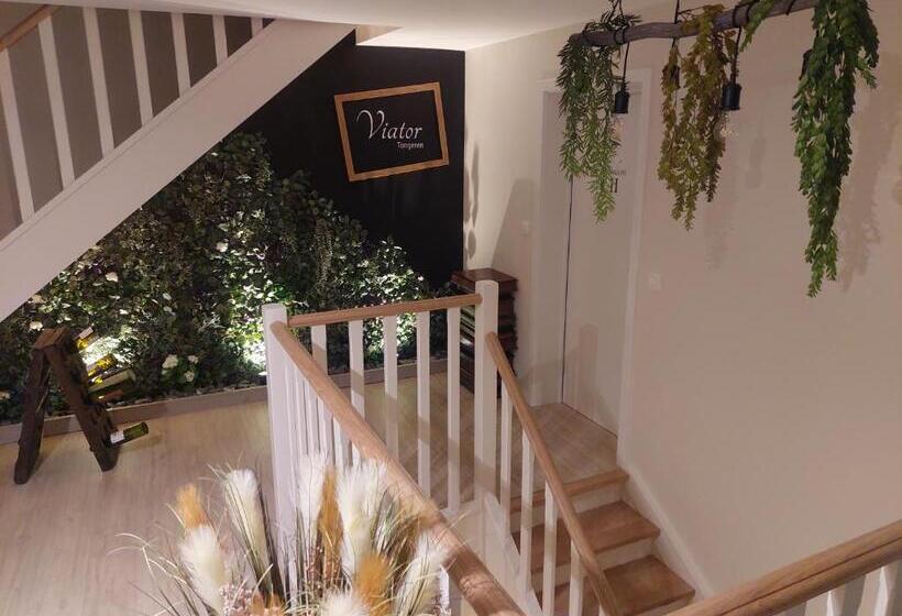 住宿加早餐 Viator