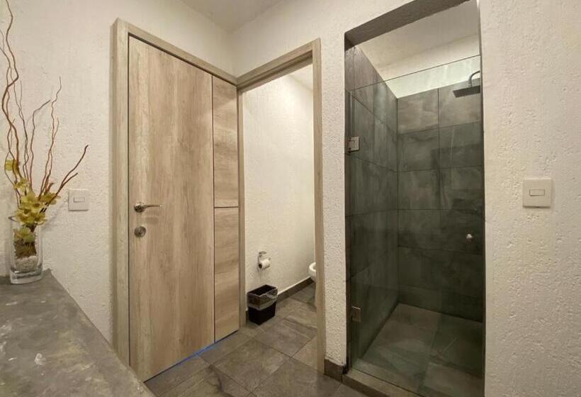 Отель Aeropuerto Morelia