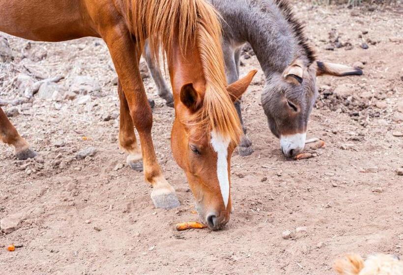 فندق Agriturismo La Croisette