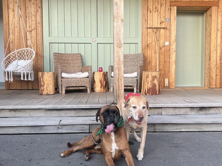 Отель Bike Lodge Spessart