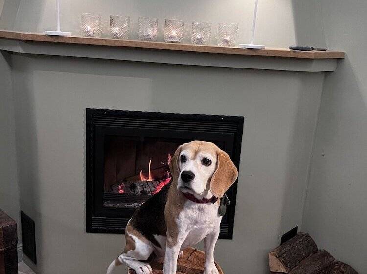 Отель Bike Lodge Spessart