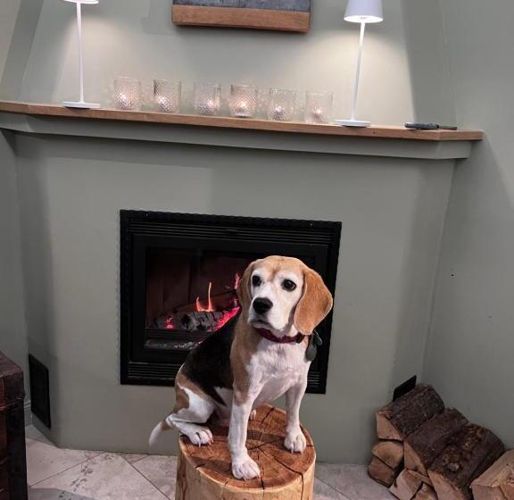 Отель Bike Lodge Spessart