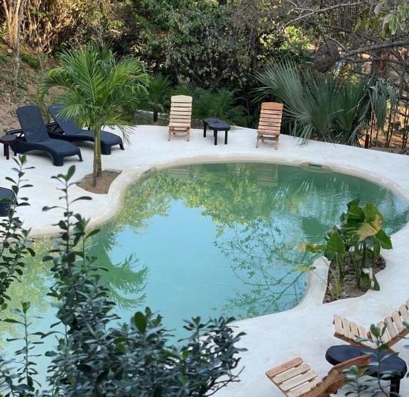 בית מלון כפרי Cocos