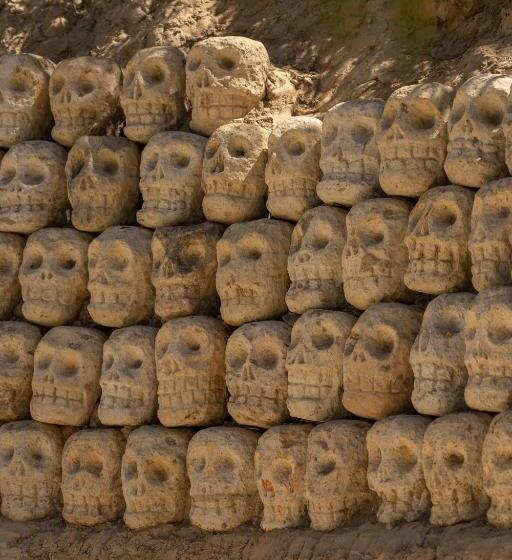 בית מלון כפרי Cocos