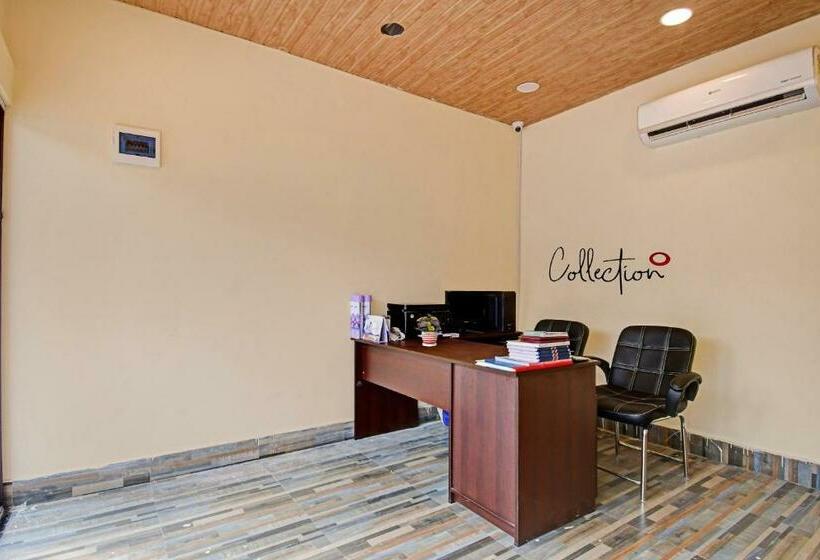 Отель Collection O Palm Tree Resort