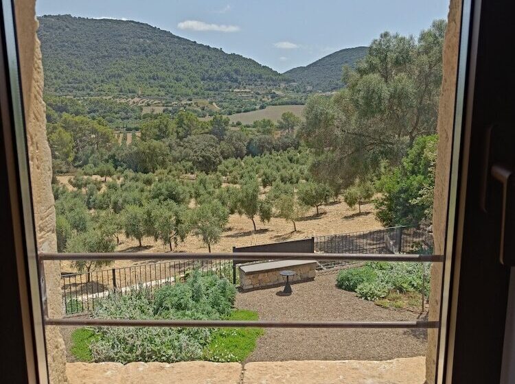 Fincahotel Treurer   Olive Grove & Grand House   Adults Only