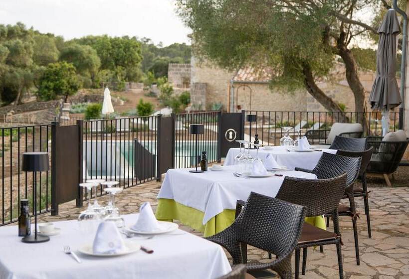 Fincahotel Treurer   Olive Grove & Grand House   Adults Only