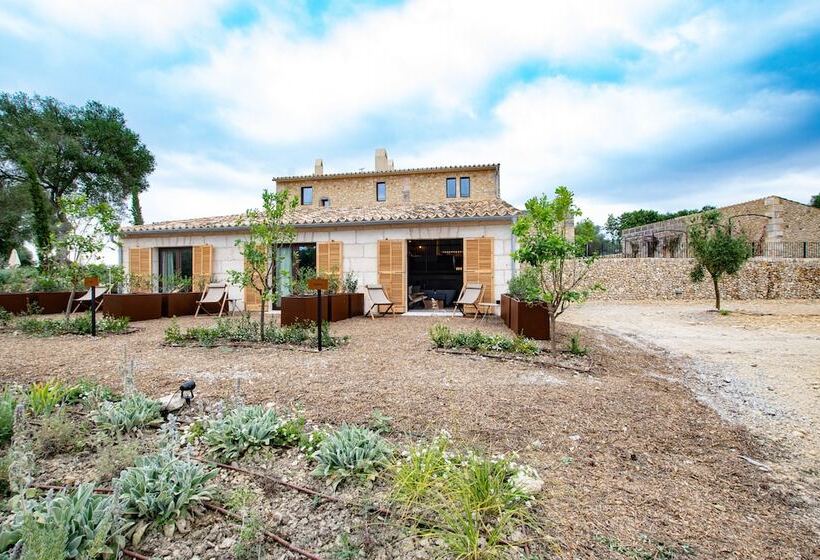 Fincahotel Treurer   Olive Grove & Grand House   Adults Only