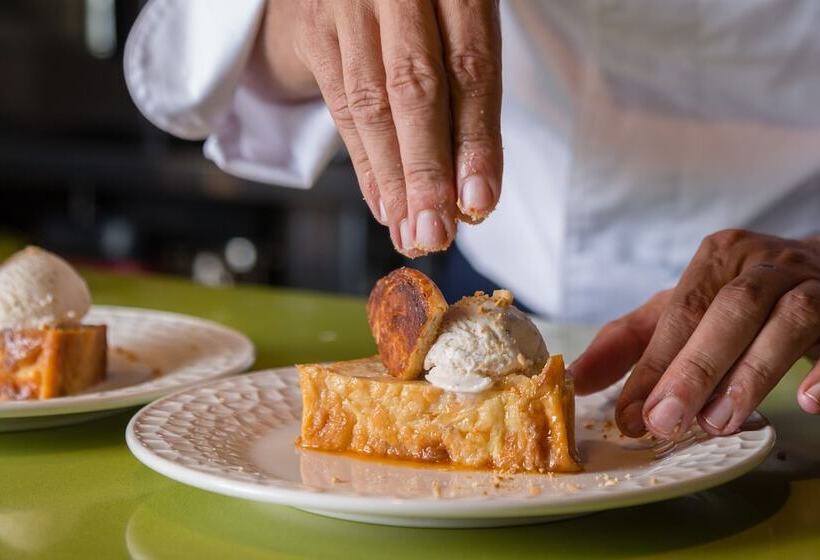 Fincahotel Treurer   Olive Grove & Grand House   Adults Only