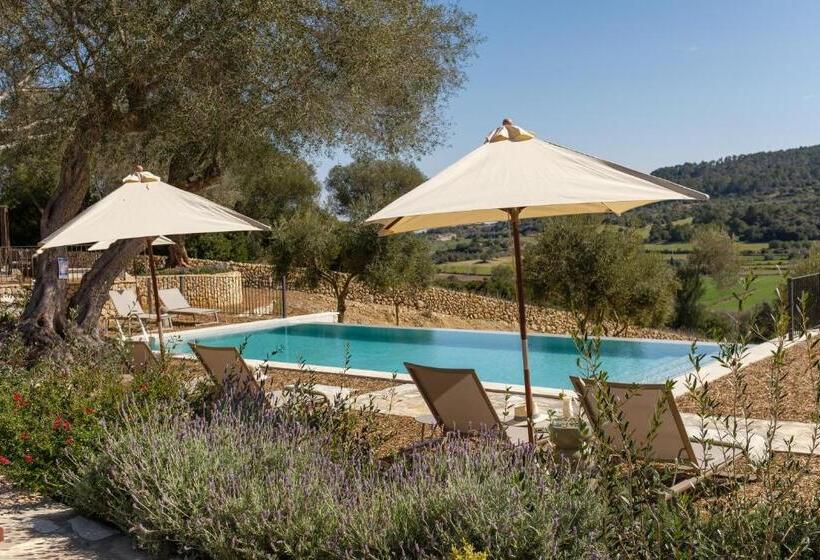 Fincahotel Treurer   Olive Grove & Grand House   Adults Only
