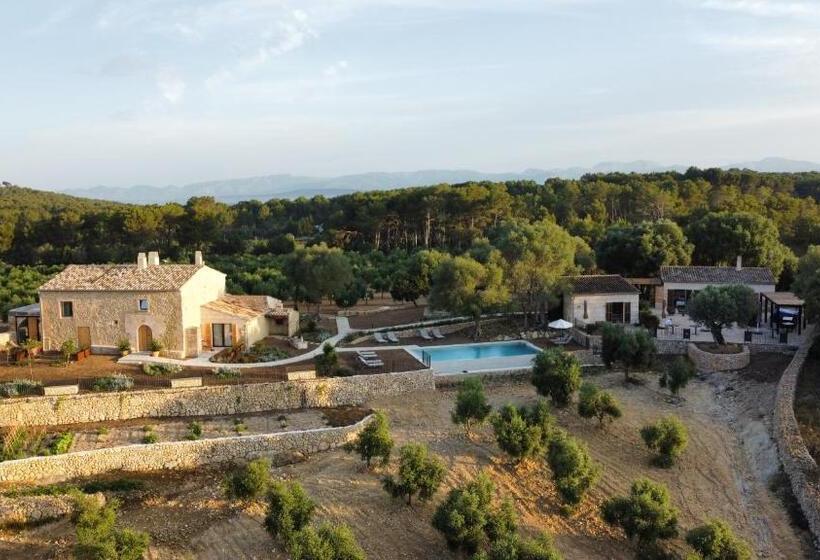 Fincahotel Treurer   Olive Grove & Grand House   Adults Only