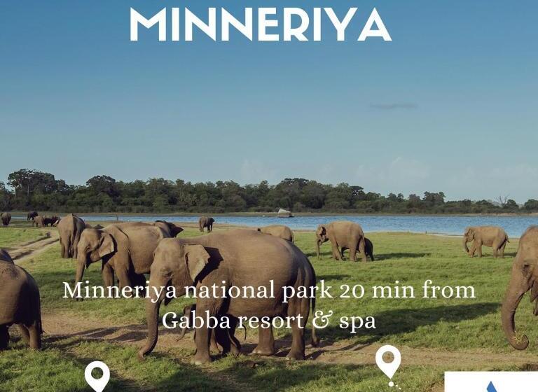 ホテル Gabaa Resort & Spa   Habarana