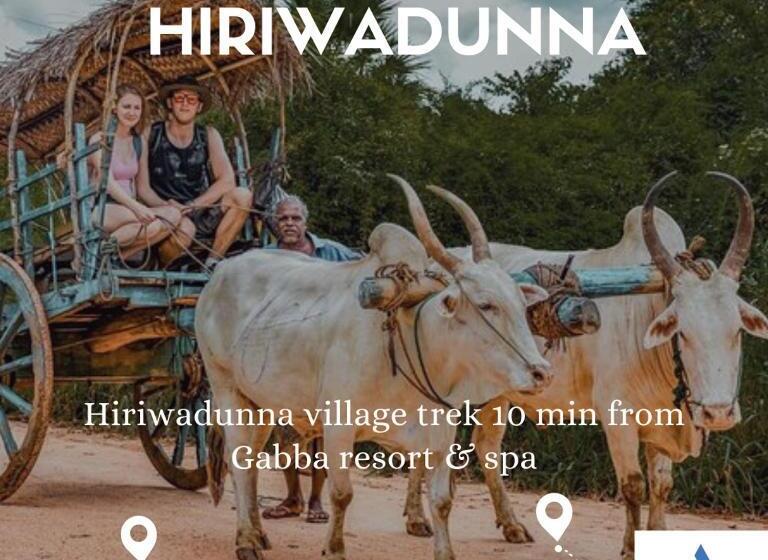 ホテル Gabaa Resort & Spa   Habarana