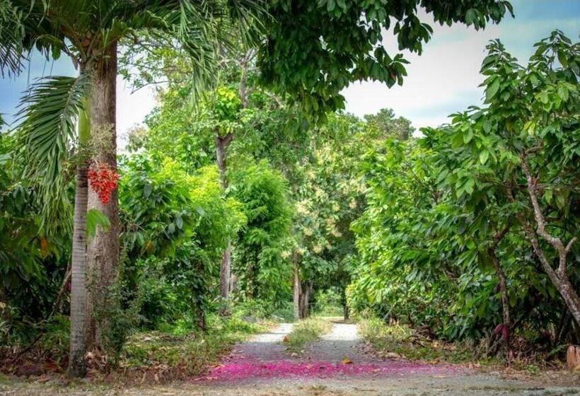 Hotel Hacienda Cacaoymango