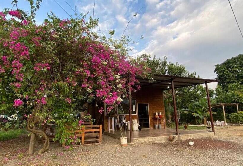 Hotel Hacienda Cacaoymango