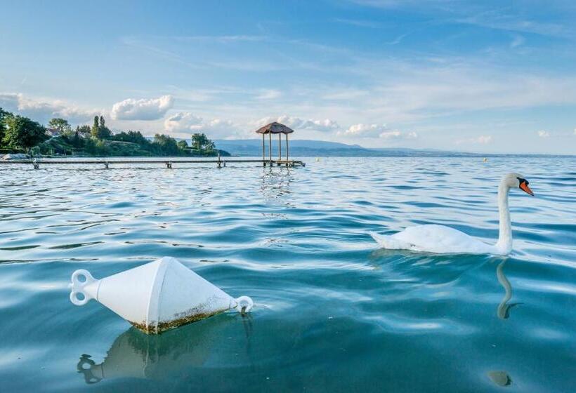 Отель Hôtel De La Plage