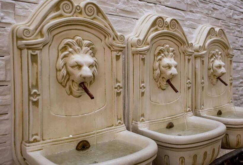 Отель La Paloma Blanca