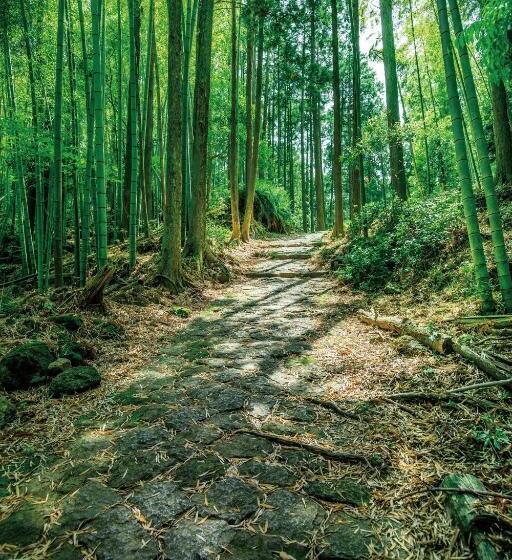 فندق Oninosanpomichi