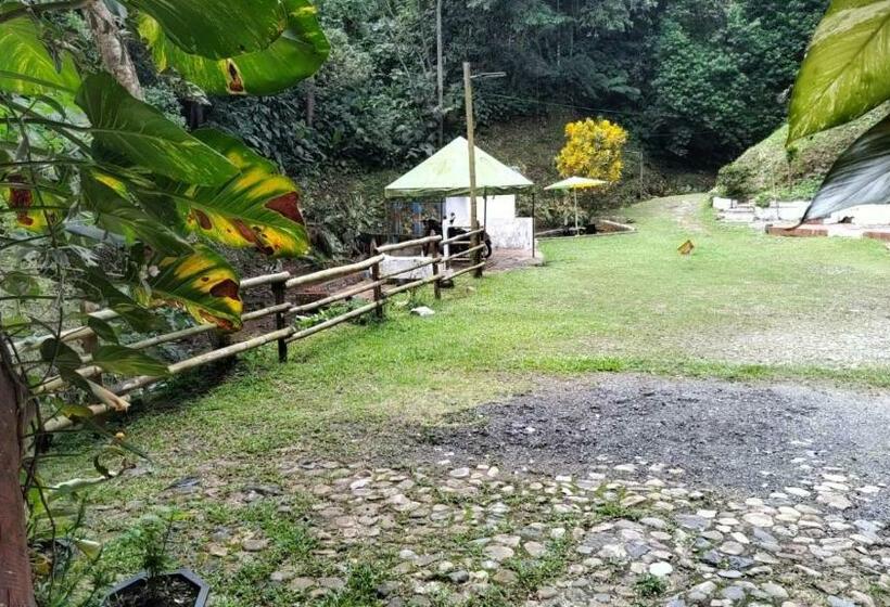 酒店 Taboga Rio Claro