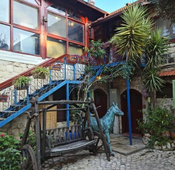 Hotel וילה תהילה המחודש   The New Villa Tehila