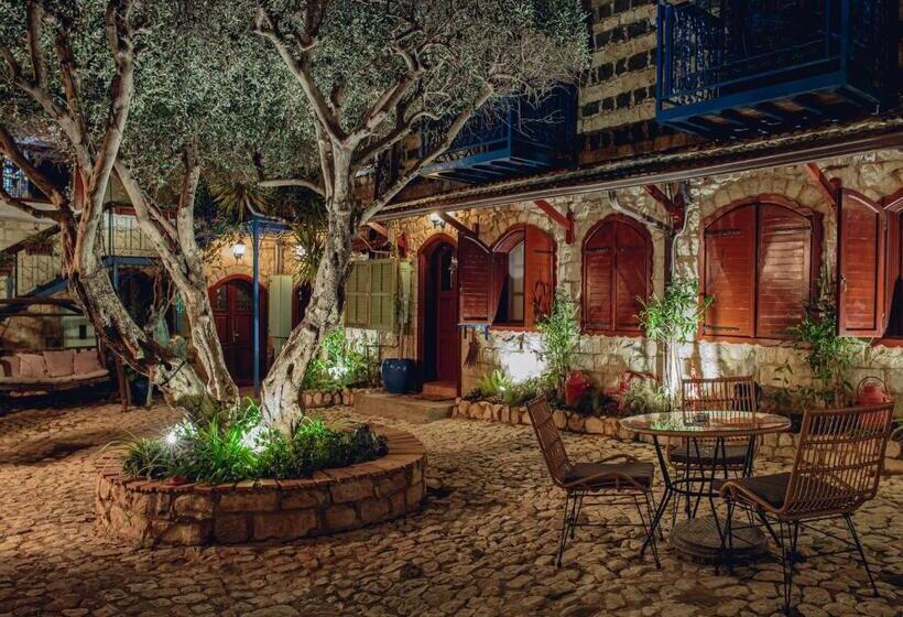 Hotel וילה תהילה המחודש   The New Villa Tehila