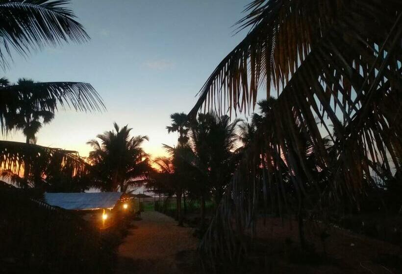 호텔 The Ocean View