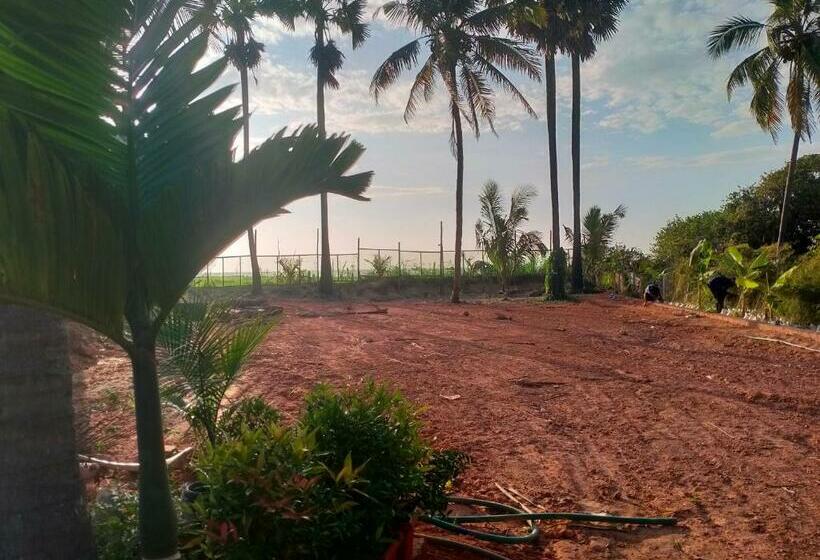 호텔 The Ocean View