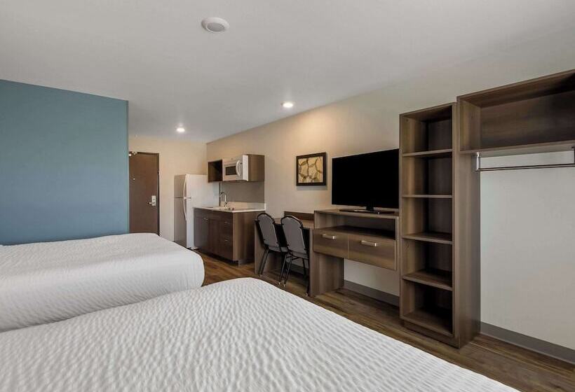 فندق Woodspring Suites Roanoke