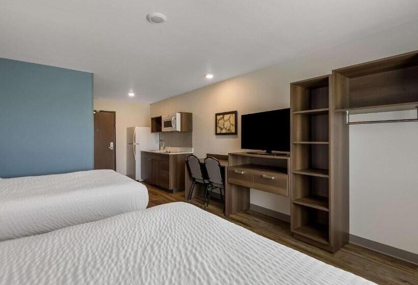 فندق Woodspring Suites Roanoke