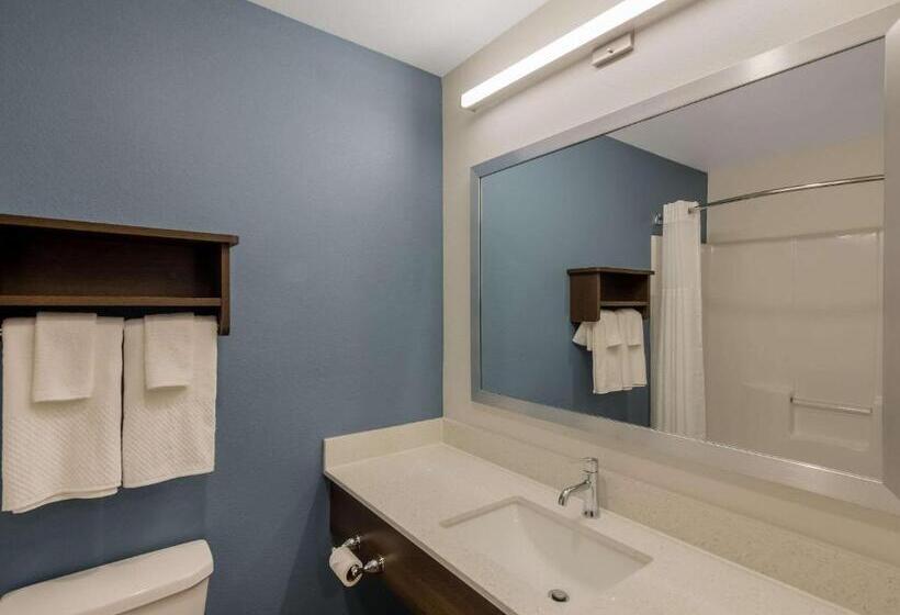فندق Woodspring Suites Roanoke