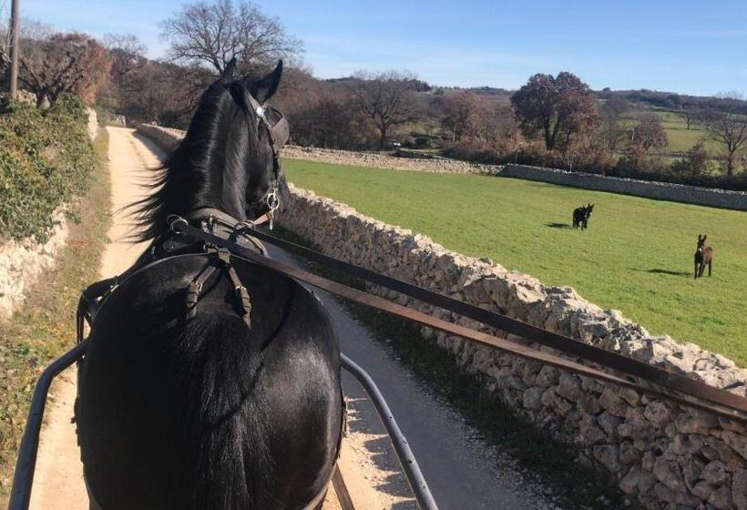 Пансион B&b Masseria Serri