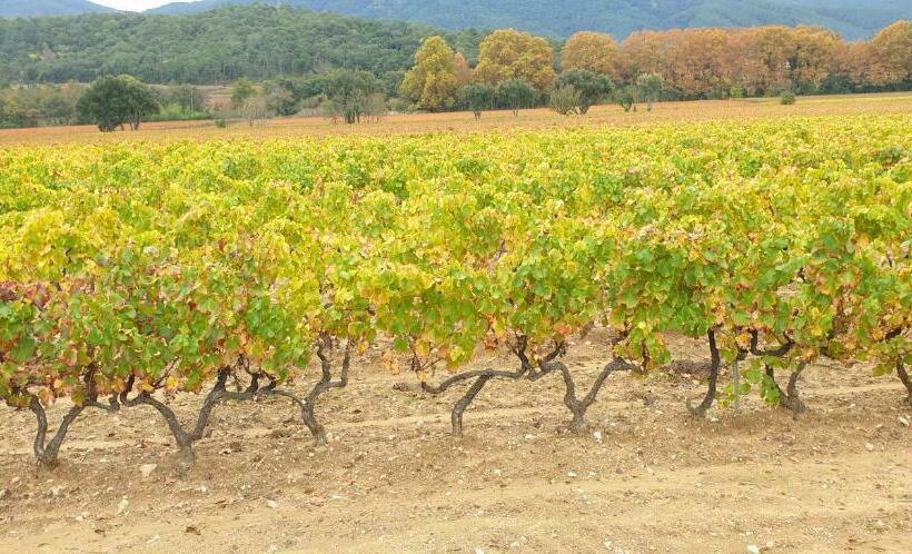 Пансион Chambre Indépendante Avec Jardin Privatif