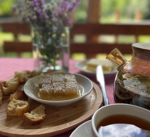 بنسيون Debatoun