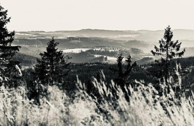 Пансион Haus Herzog