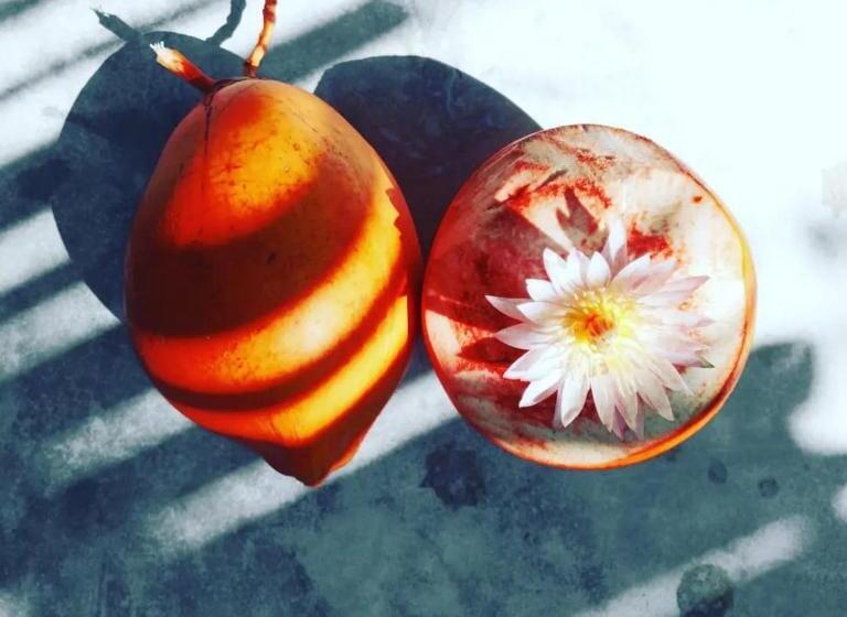 Пансион Kingcocoresort