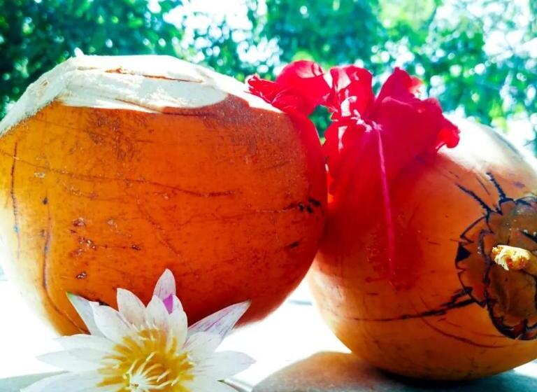 Пансион Kingcocoresort