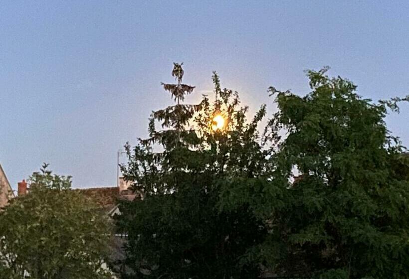 פנסיון Villa Christine