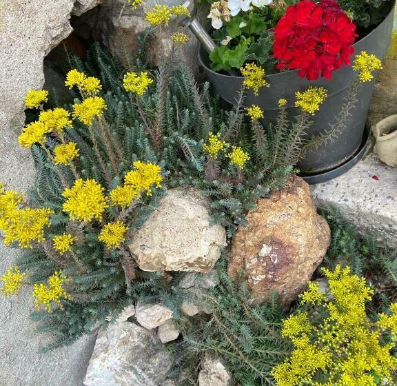 פנסיון Villa Christine