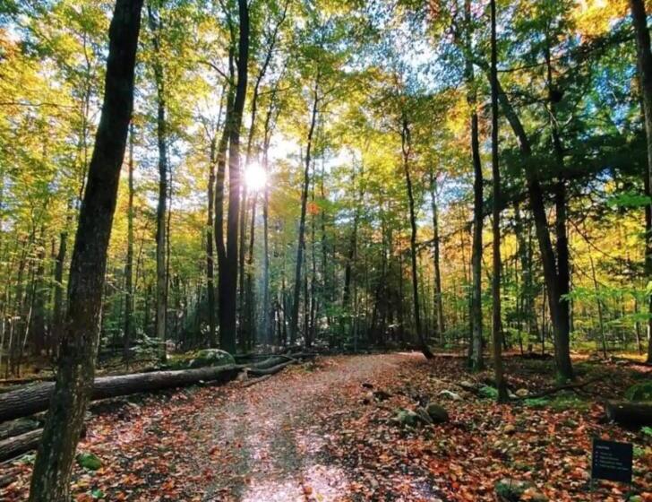 Курорт King & Queen Bed, Pool, Firepit, Fully Stocked