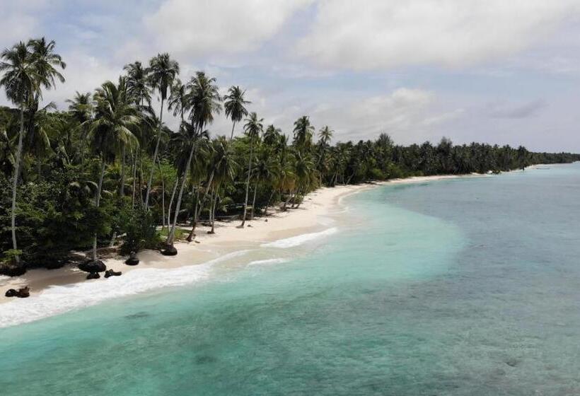 リゾートホテル La Belle Hollow Trees